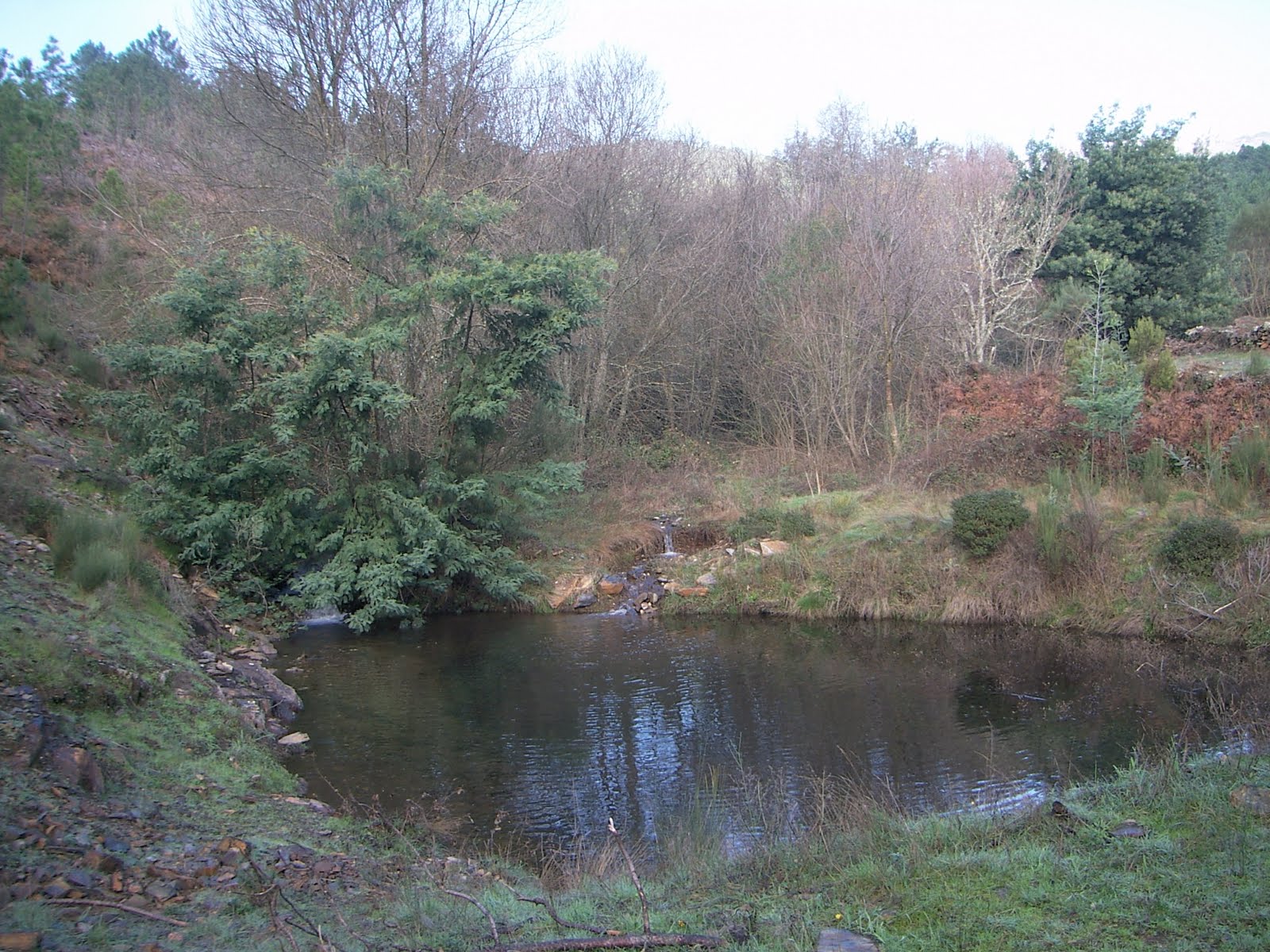 [DCAM0020.JPG]