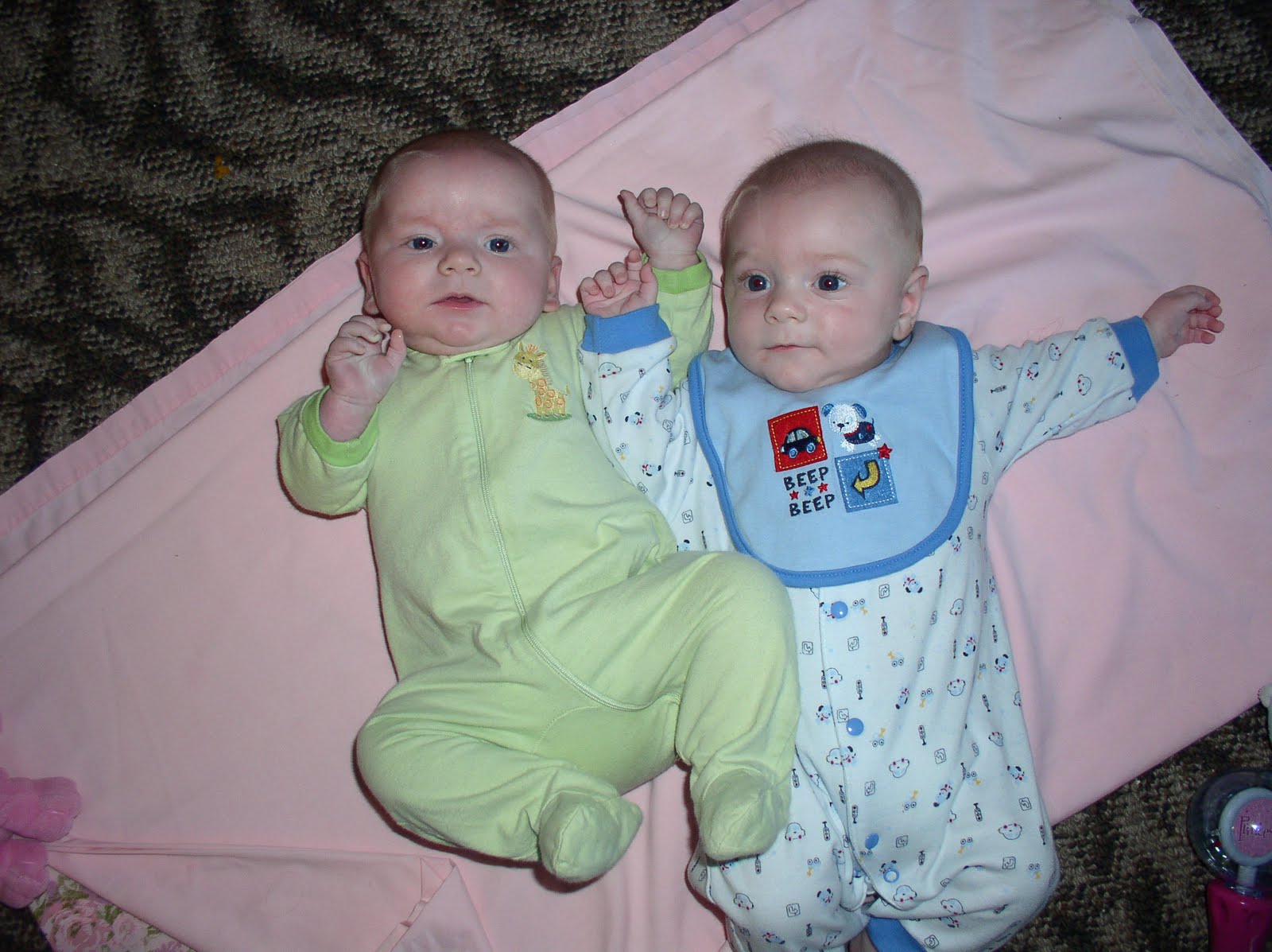 [P1014155.JPG]