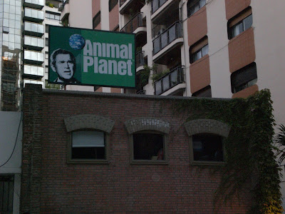 perfiles chinesse gran culo en Elche perfiles chinesse gran culo en Elche