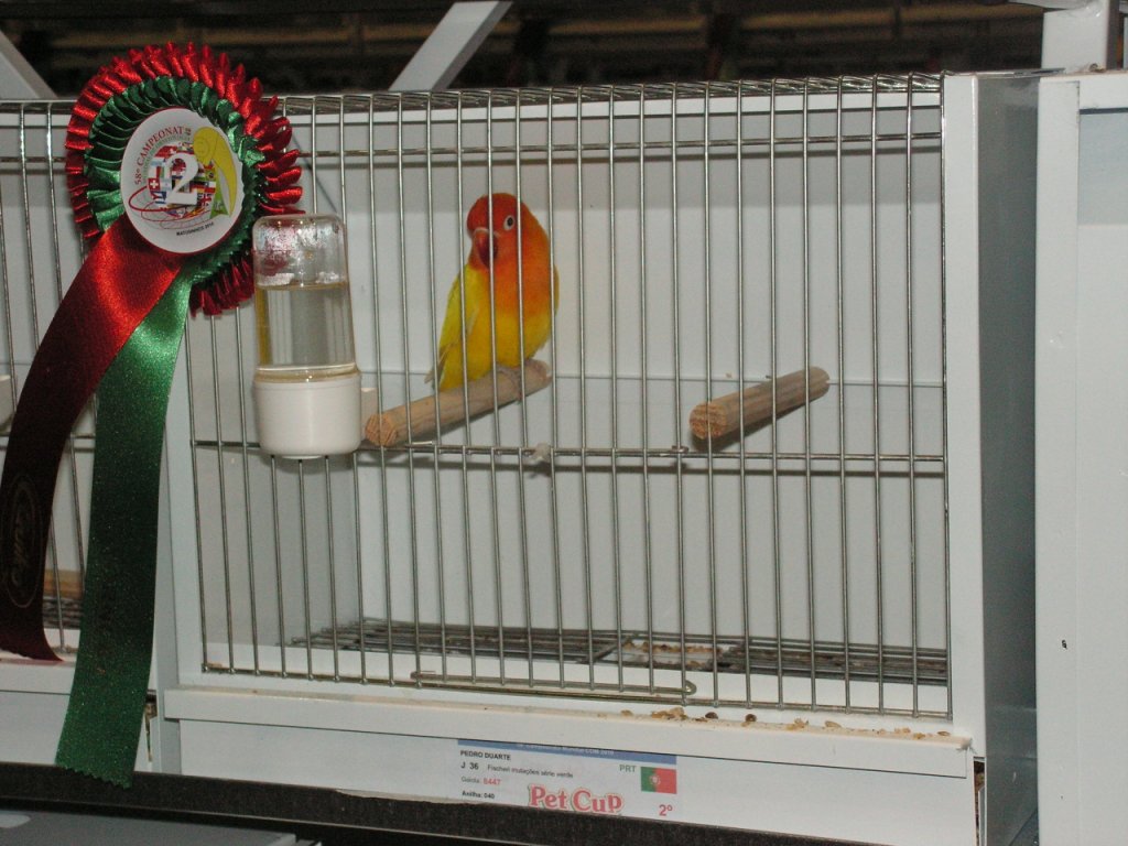 [PICT0609.JPG]