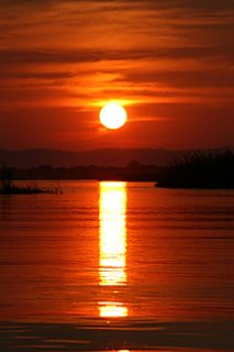 [IMG_0352.JPG]
