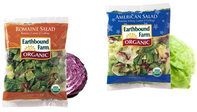 [earthbound+farm+salad.JPG]