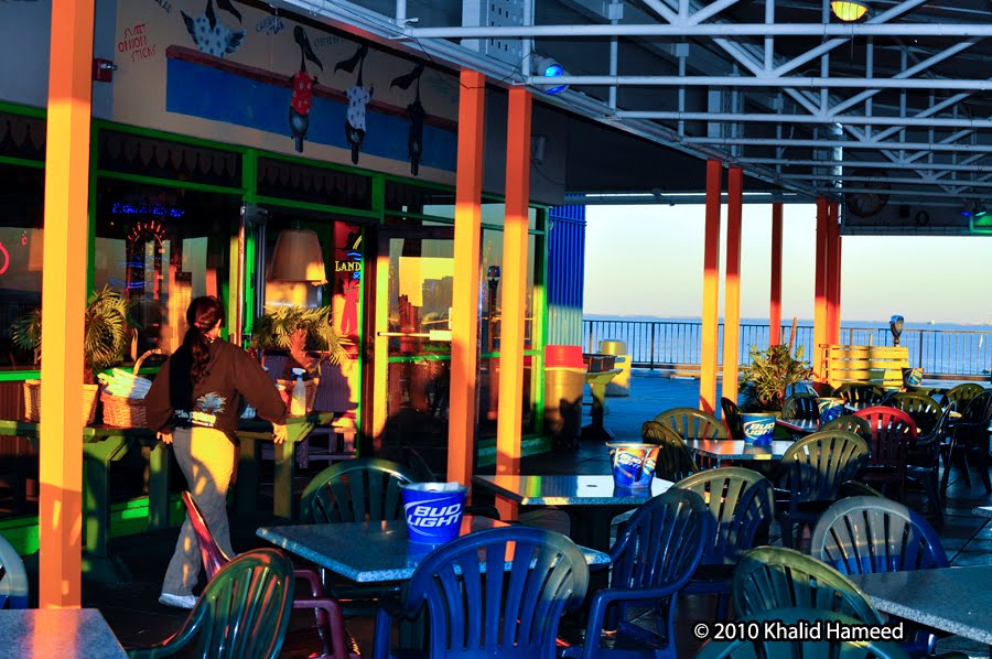 Scallywag Journeys Tampa Bay and Beyond Cha Cha Coconuts at the Pier