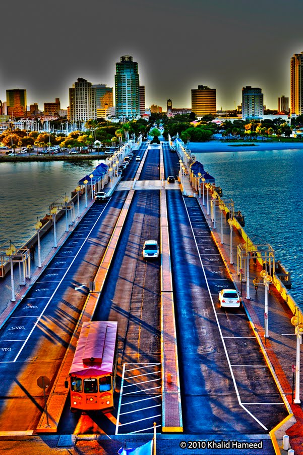 Scallywag Journeys Tampa Bay and Beyond Cha Cha Coconuts at the Pier