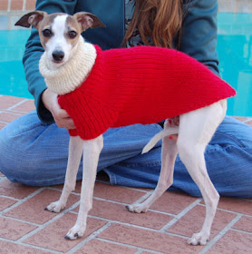 Knits /& Pieces Greyhound Whippet /& Small Dog Coat Knitting Pattern.