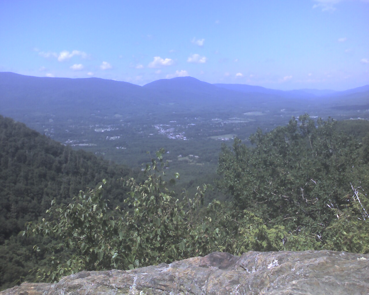 [Photo_072809_001-700145.jpg]