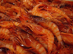 Gamba de Arenys