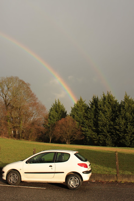 Mijn Peugeot 206