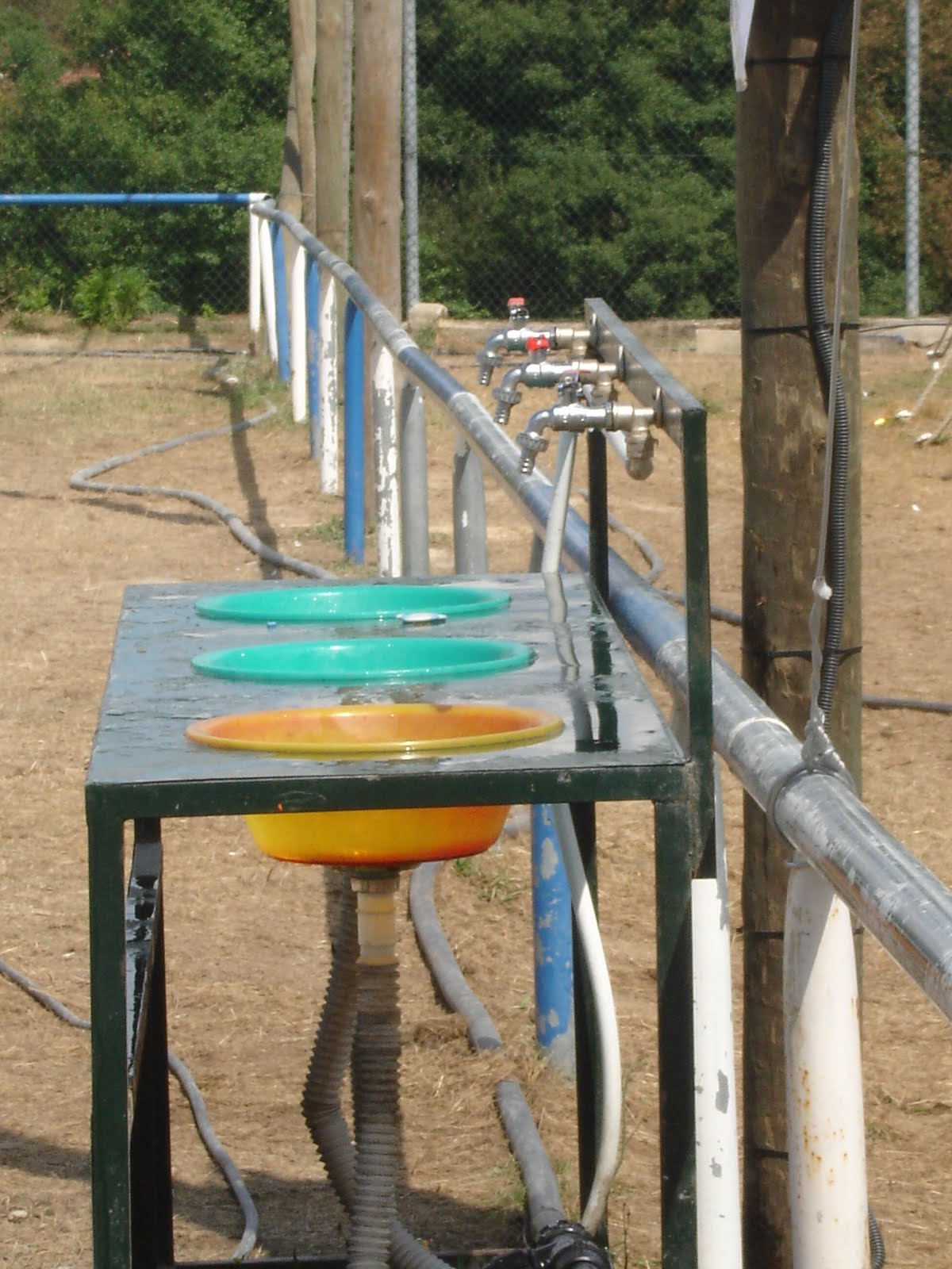 [DSC01338.JPG]