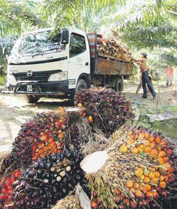 Cargill Malaysia