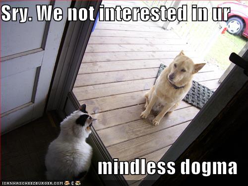 [funny-pictures-cat-greets-dog-at-door.jpg]