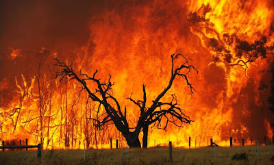 http://4.bp.blogspot.com/_jhiaT6dZgx0/SZUNVlbuLGI/AAAAAAAABZs/q09FLIeLd54/s400/Vic+Bushfires+Flames+Bernardoh1.jpg