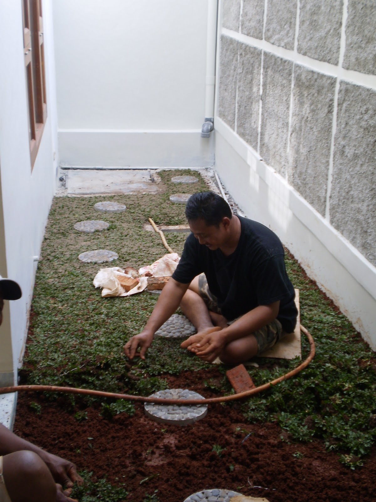 Teralis Atap Belakang Rumah | Desain Rumah Minimalis 2019