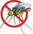 Mosquito Peril