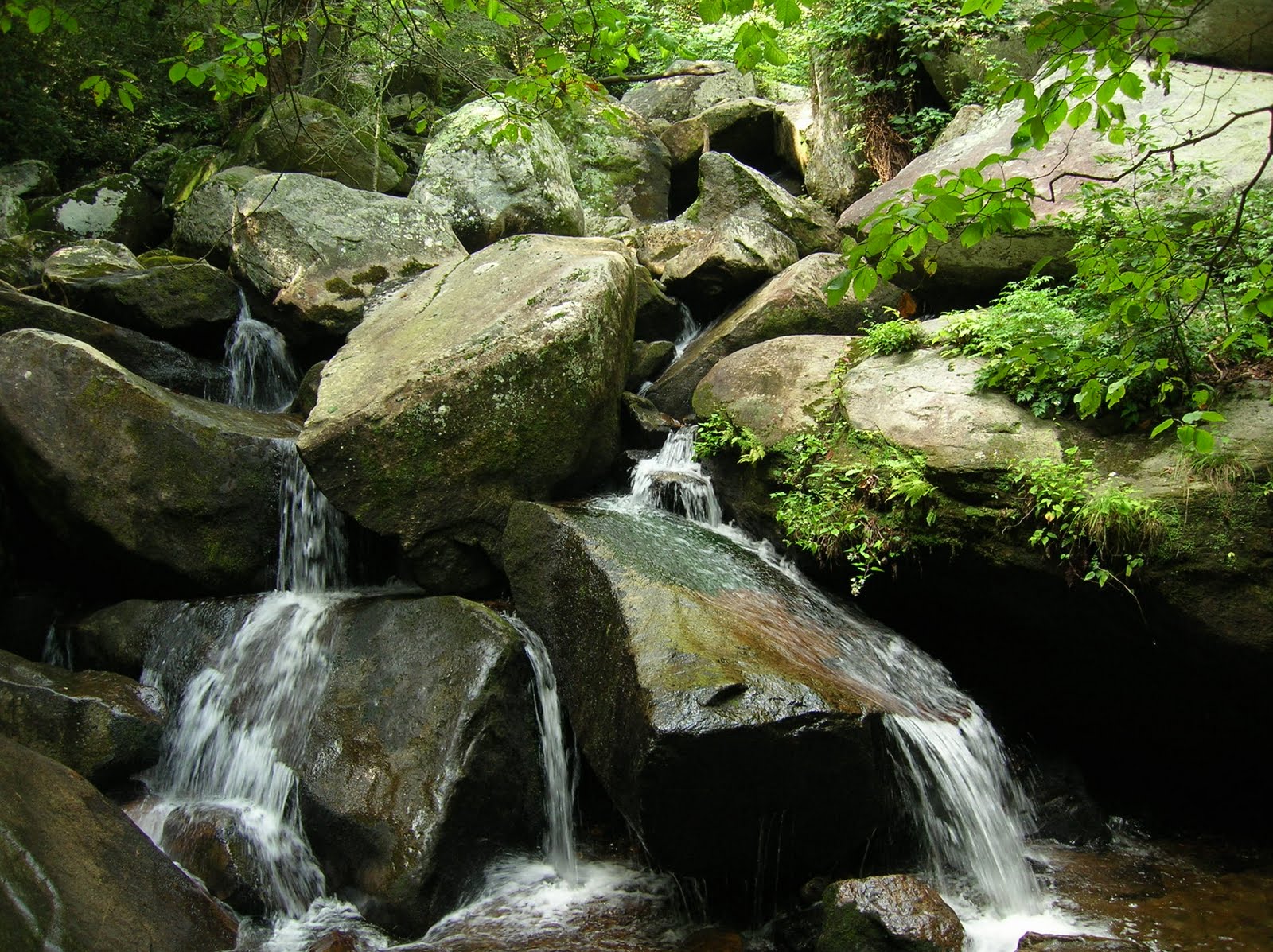 [DSCN5930.JPG]