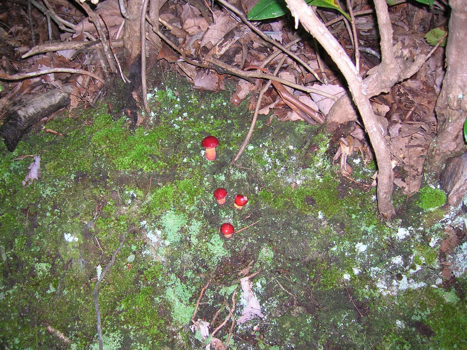 [DSCN5957.JPG]