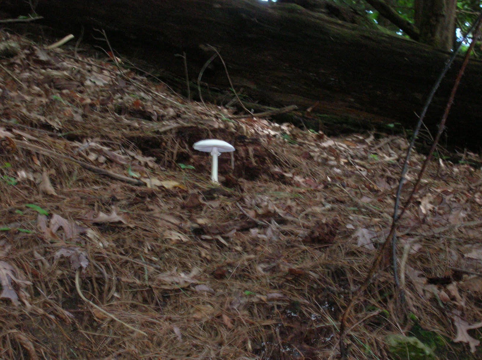 [DSCN5979.JPG]