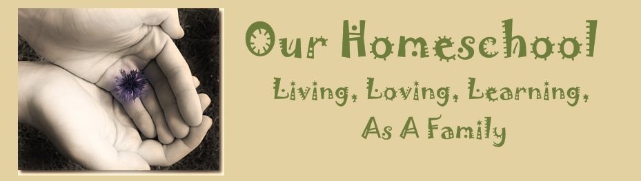 Our Homeschool