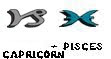 Compatibility of Pisces with Capricorn