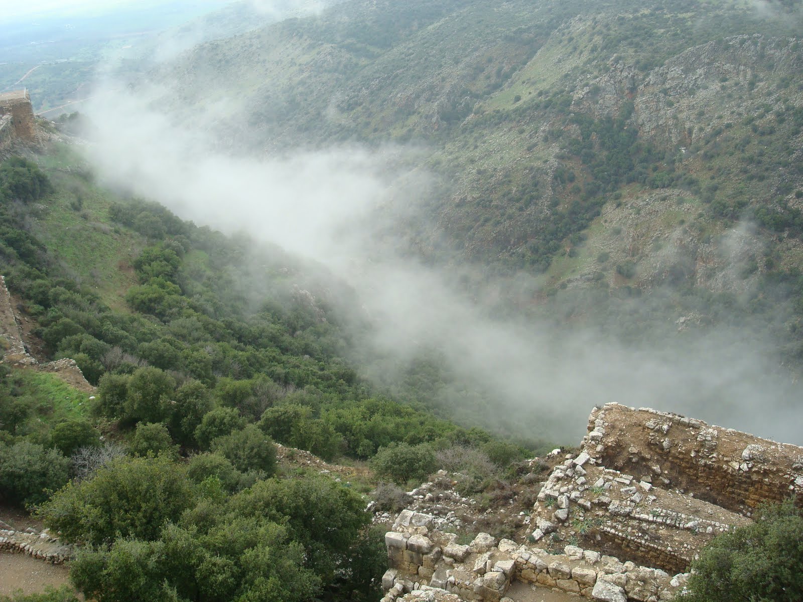 [Hermon_21.1.10+071.jpg]
