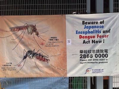 anti-Dengue fever campaign poster anti-Dengue fever campaign poster