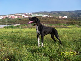 SAYRA DE MELLANTES