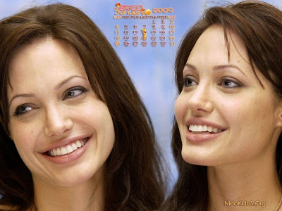 Angelina Jolie wallpapers 1 calendar 2009 Angelina Jolie 2009 Calendar 