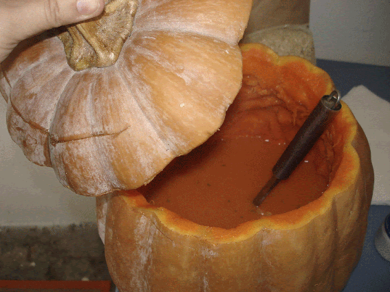 [DSC05387.gif]