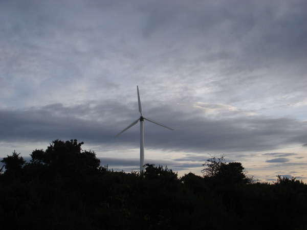 [proj270@findhorn_09.jpg]