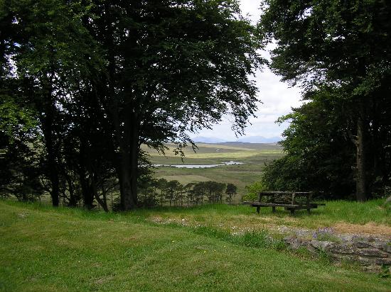 [view-from-the-garden.jpg]