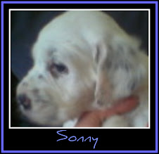 Sonny