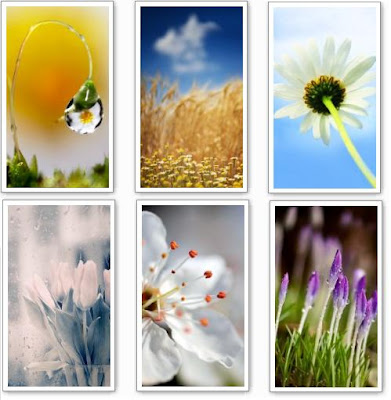 Download New High Quality Nature Wallpapers for Nokia 5800 and N97