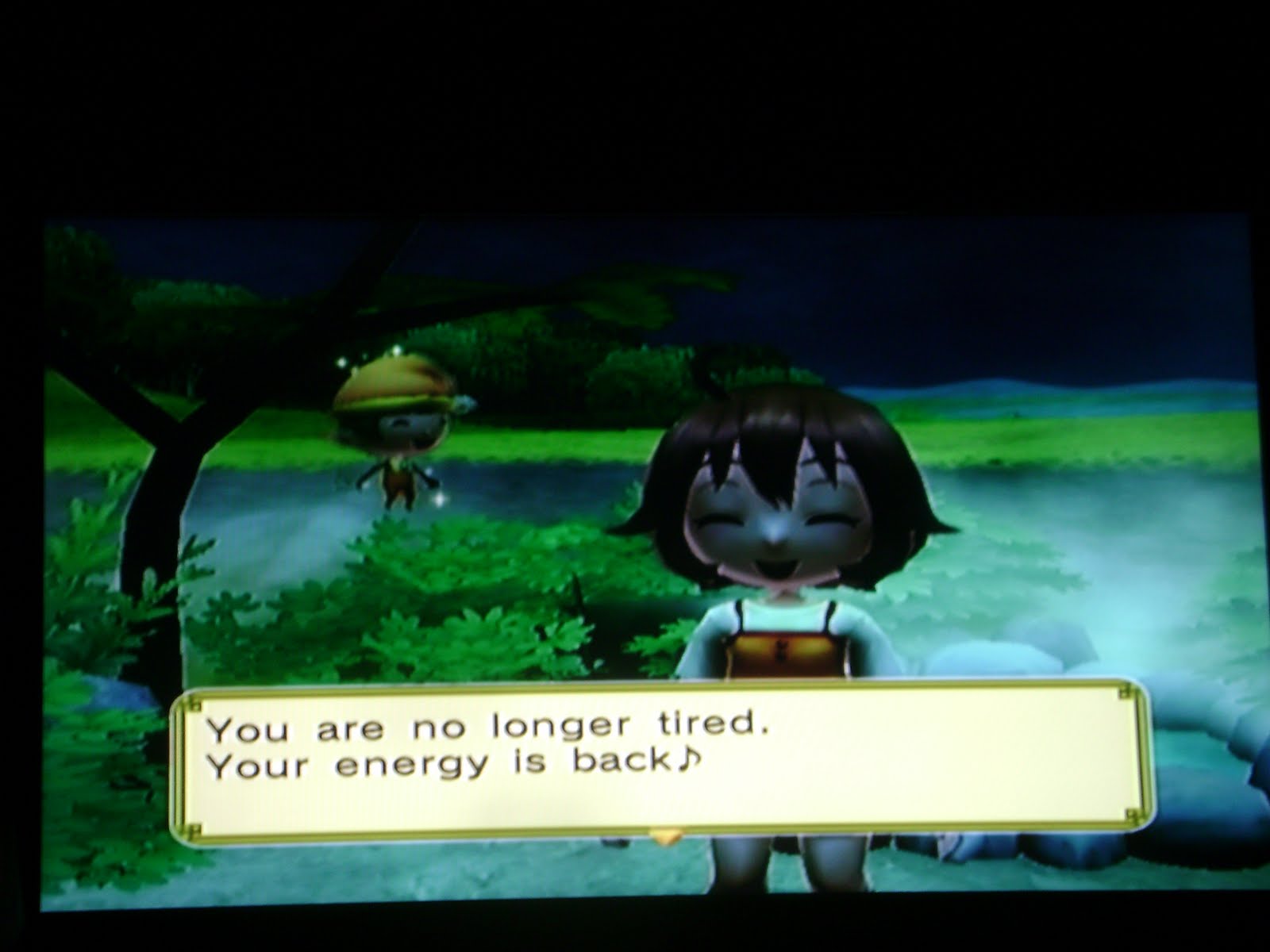 Harvest Moon Forever Energy Recovery In Animal Parade