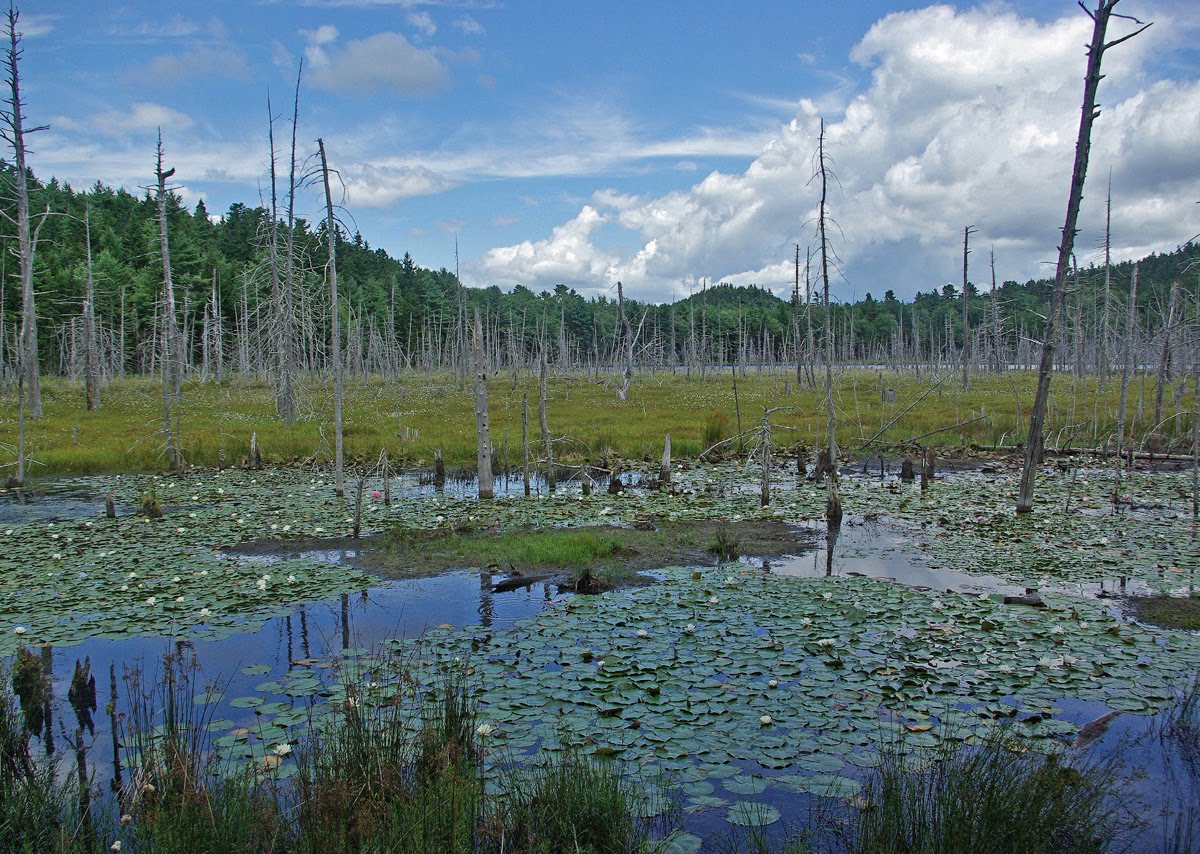 Hiking in Maine with Kelley 8/12/10 Holbrook Island Sanctuary