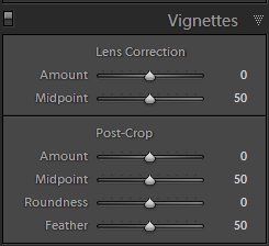 [Vignette_Panel_Default.png]