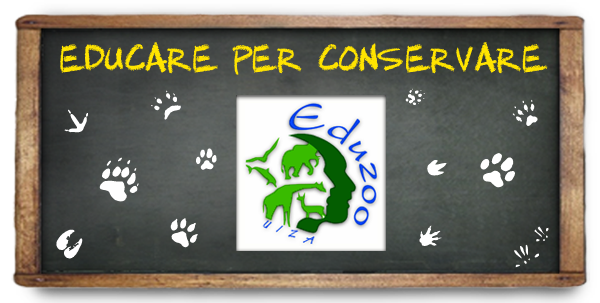 Eduzoo