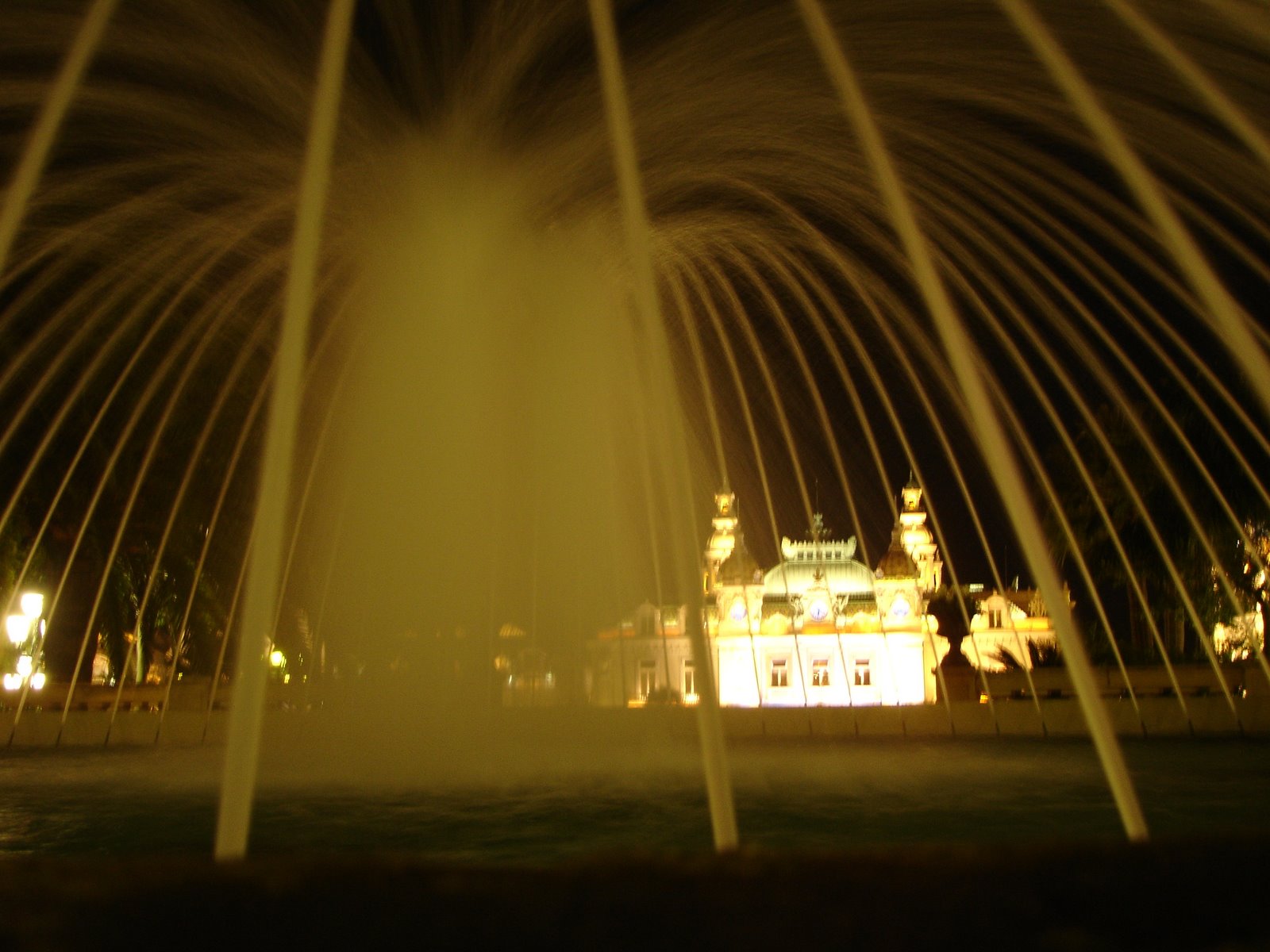 [DSC04733.JPG]