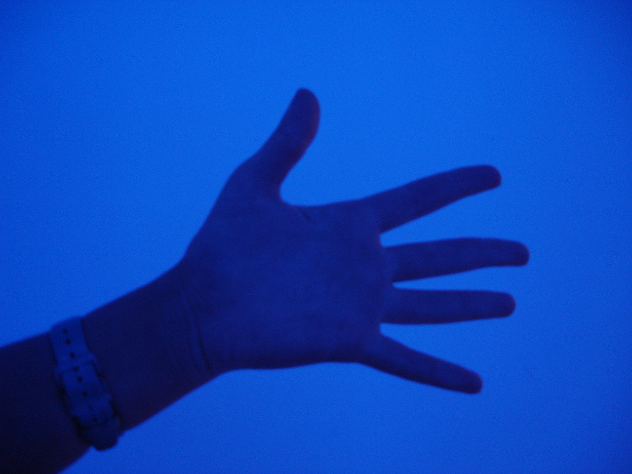 [DSC01458.JPG]