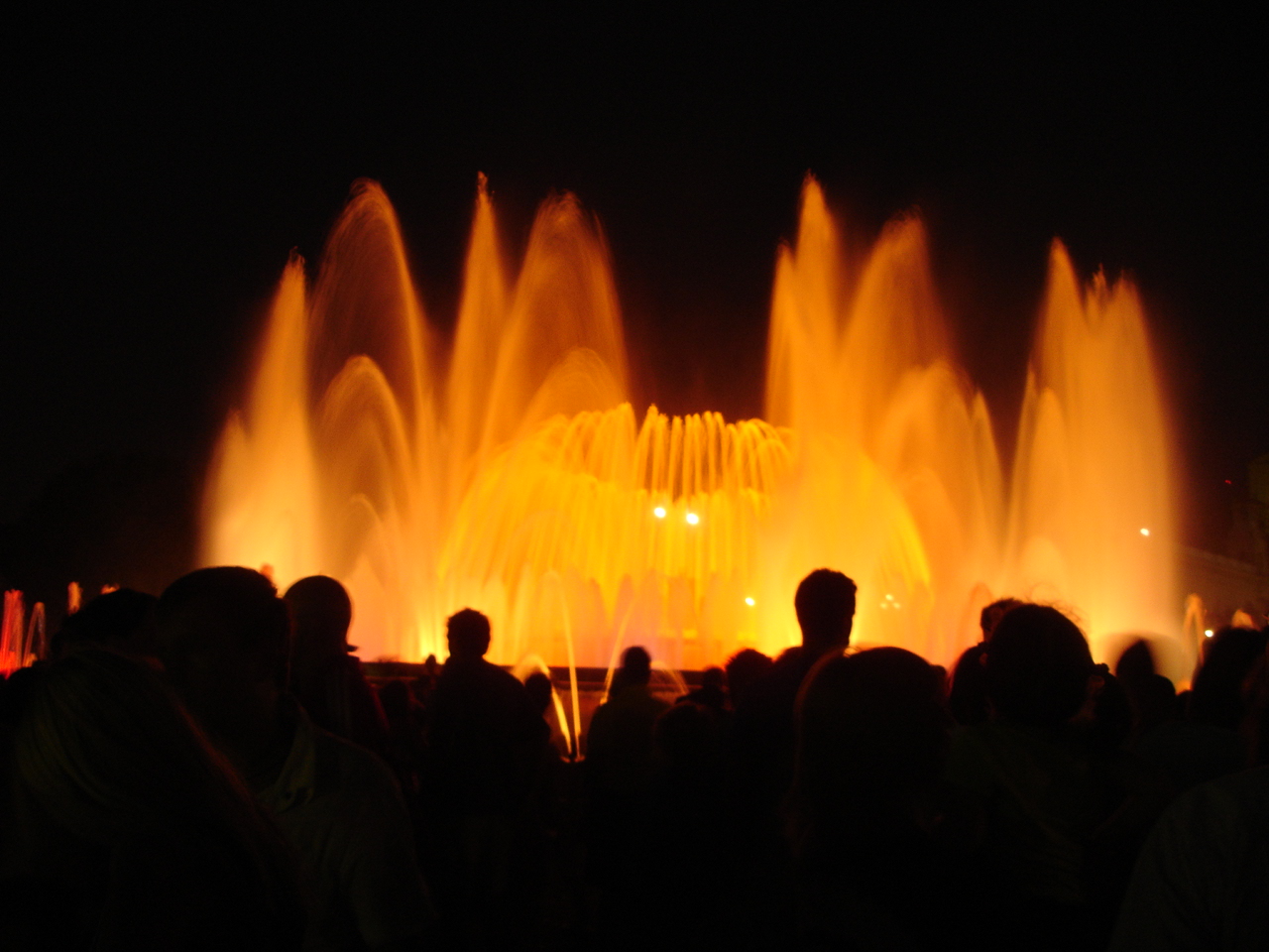 [DSC05432.JPG]