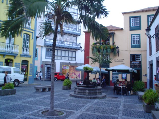 [DSC00688.JPG]