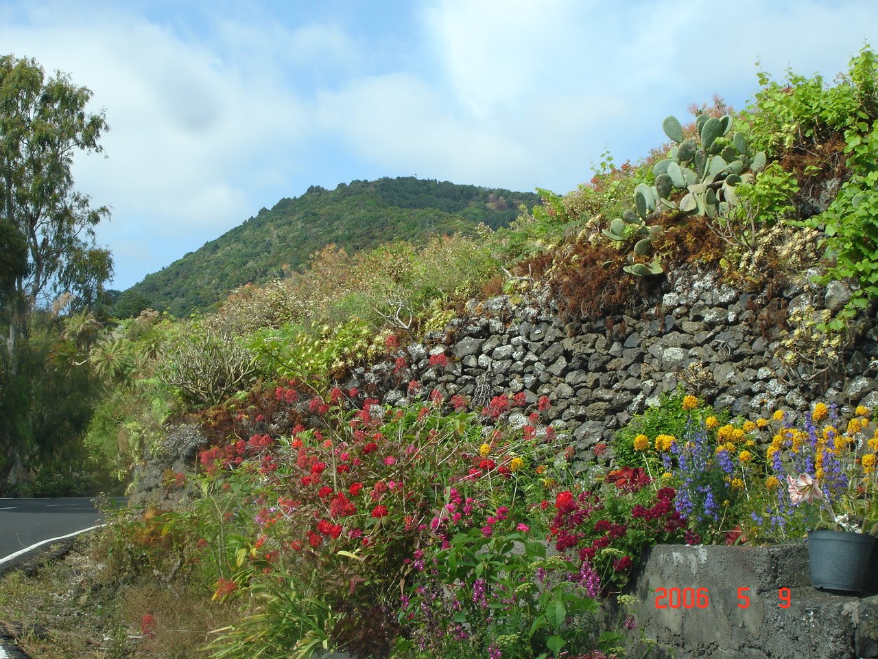 [DSC00912.JPG]