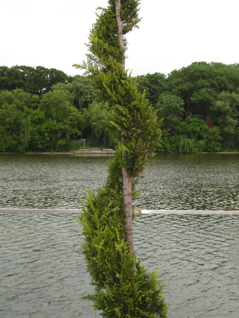 [DSC05979.JPG]