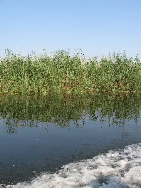 [IMG_7310.JPG]