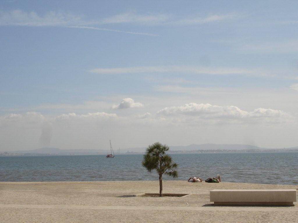 [DSC07465.jpg]