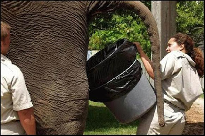 best-job-on-the-planet_1079.jpg