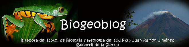 Biogeoblog