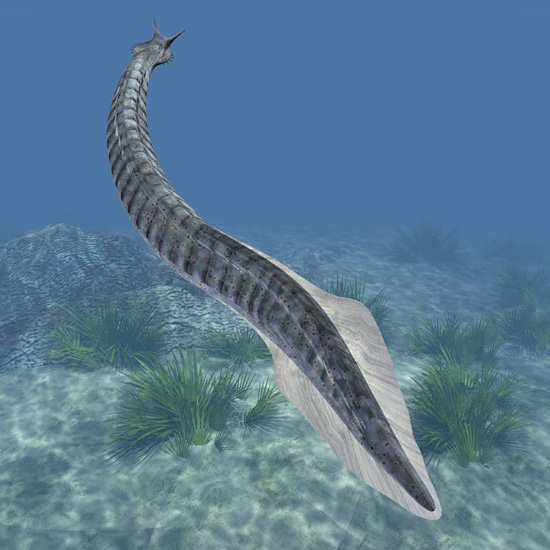 El Pikaia nuestro primer ancestro Mundo Prehistorico