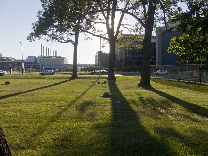 Dan Larkin Land August 2010