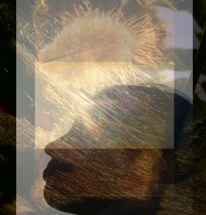 [északról+jön+egy+szél.jpg]