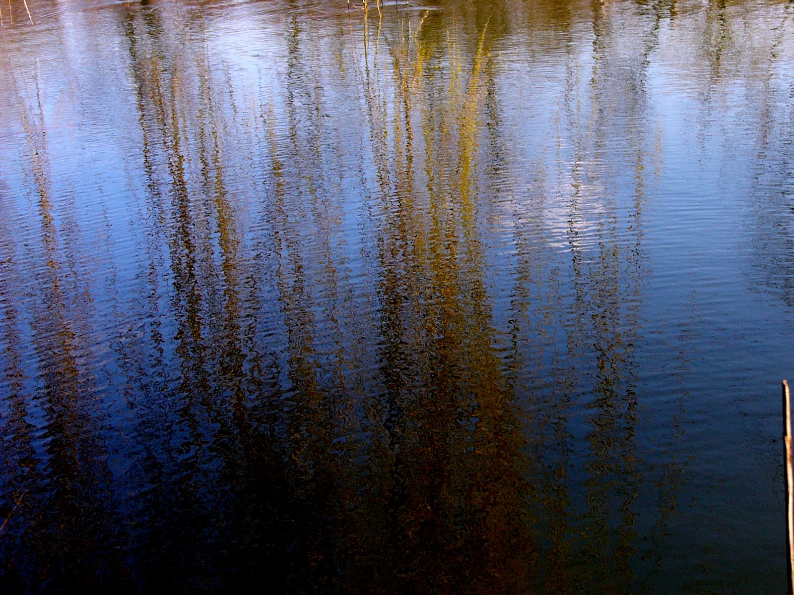 [fotók+2007március+084.jpg]